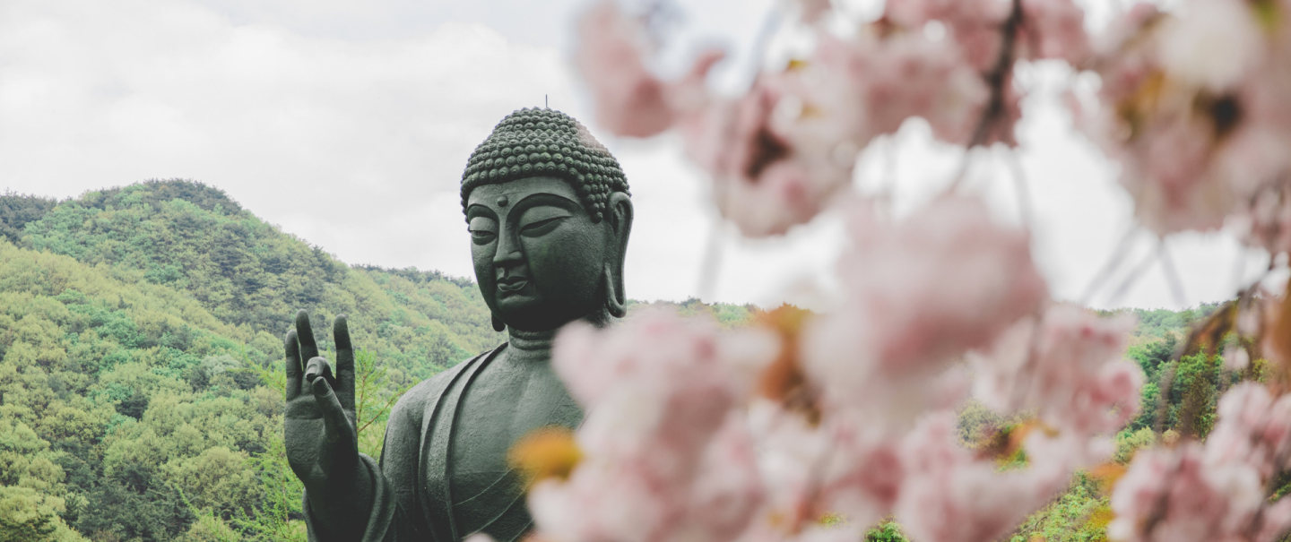 How  South Korea celebrates  the birth of Buddha