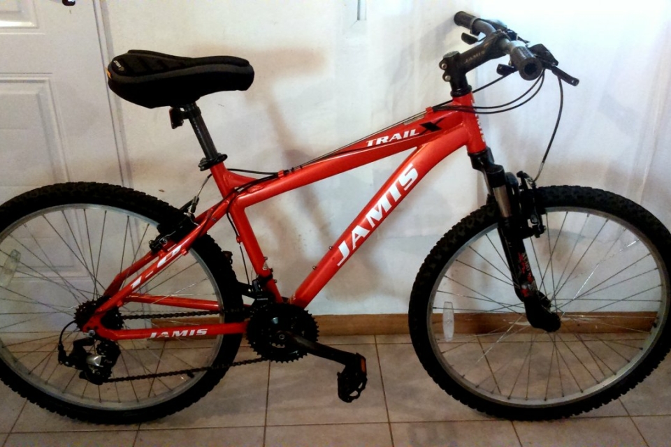 Jamis trail discount x1 mountain bike