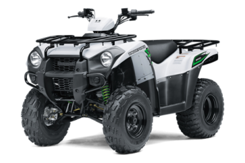 Kawasaki Brute Force 300